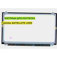 Матрица для Toshiba SATELLITE L955 40pin 1366x768 (HD) TN