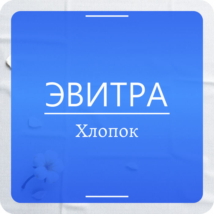 Ароматизатор для дома с палочками Эвитра арома  Диффузор с палочками 1шт 50мл