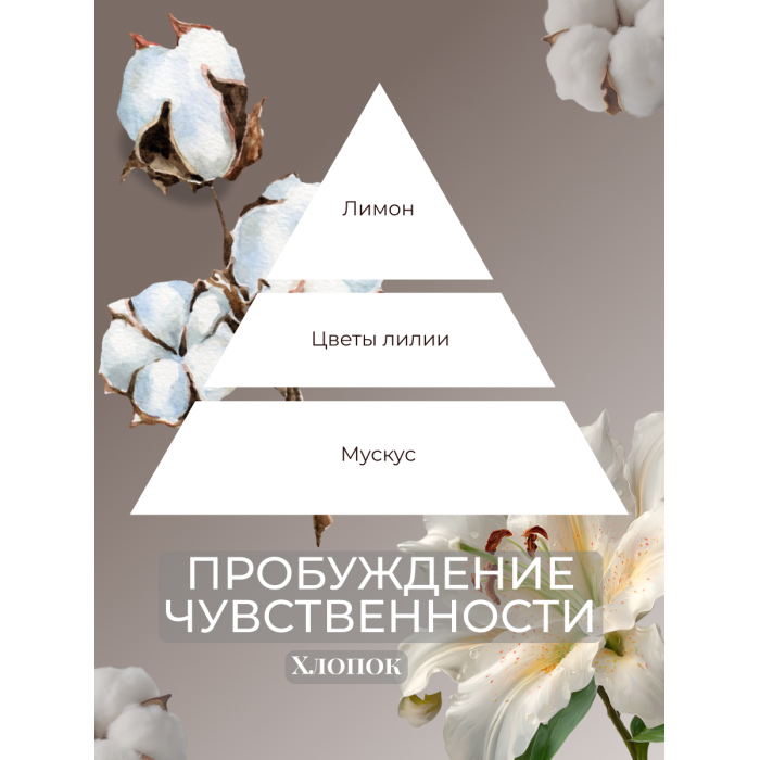 Ароматизатор для дома с палочками Эвитра арома  Диффузор с палочками 1шт 50мл
