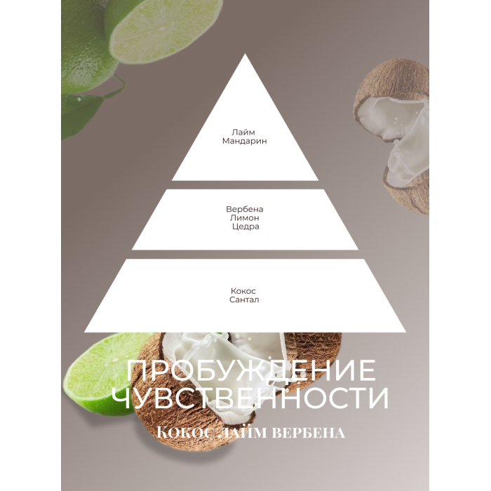 Ароматизатор для дома с палочками Эвитра Диффузор с палочками 1шт 50мл Кокос Лайм Вербена