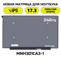 Матрица MNH301CA3-1