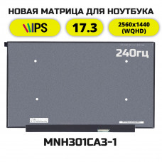 Матрица MNH301CA3-1