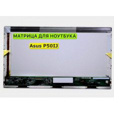 Матрица для Asus P50IJ, P52F, P52Jc 40pin 1366x768 (HD) TN