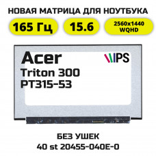 Матрица для Acer Predator Triton 300 PT315-53 (QHD/165Гц)