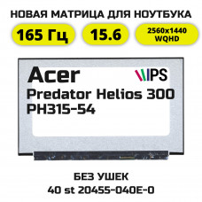 Матрица для Acer Predator Helios 300 PH315-54 (QHD/165Гц)
