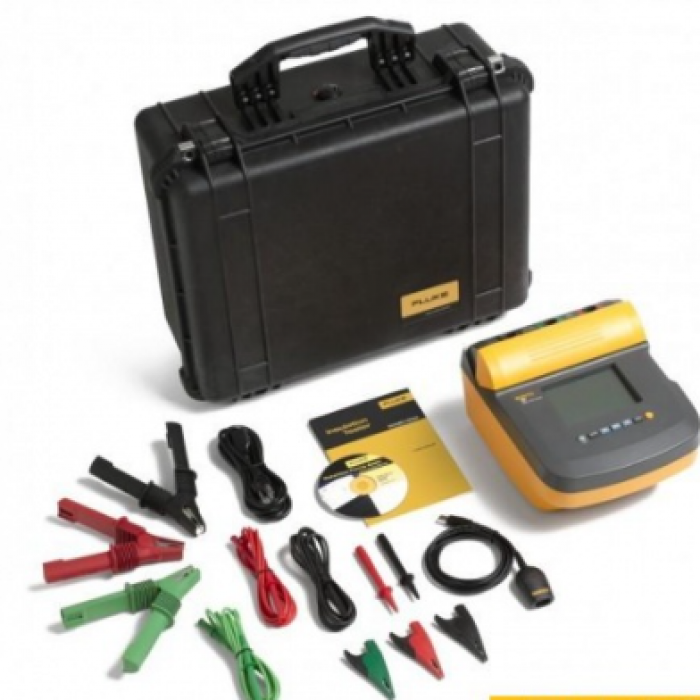 Мегаомметр Fluke 1555/Kit